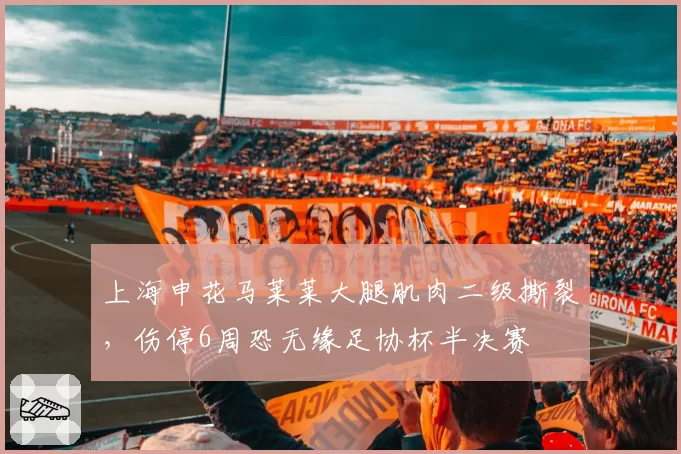 上海申花马莱莱大腿肌肉二级撕裂，伤停6周恐无缘足协杯半决赛