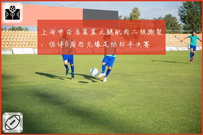 上海申花马莱莱大腿肌肉二级撕裂，伤停6周恐无缘足协杯半决赛